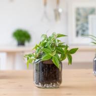 Create a soap dispenser with a jar of Nutella® do it yourself