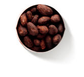 Cacao