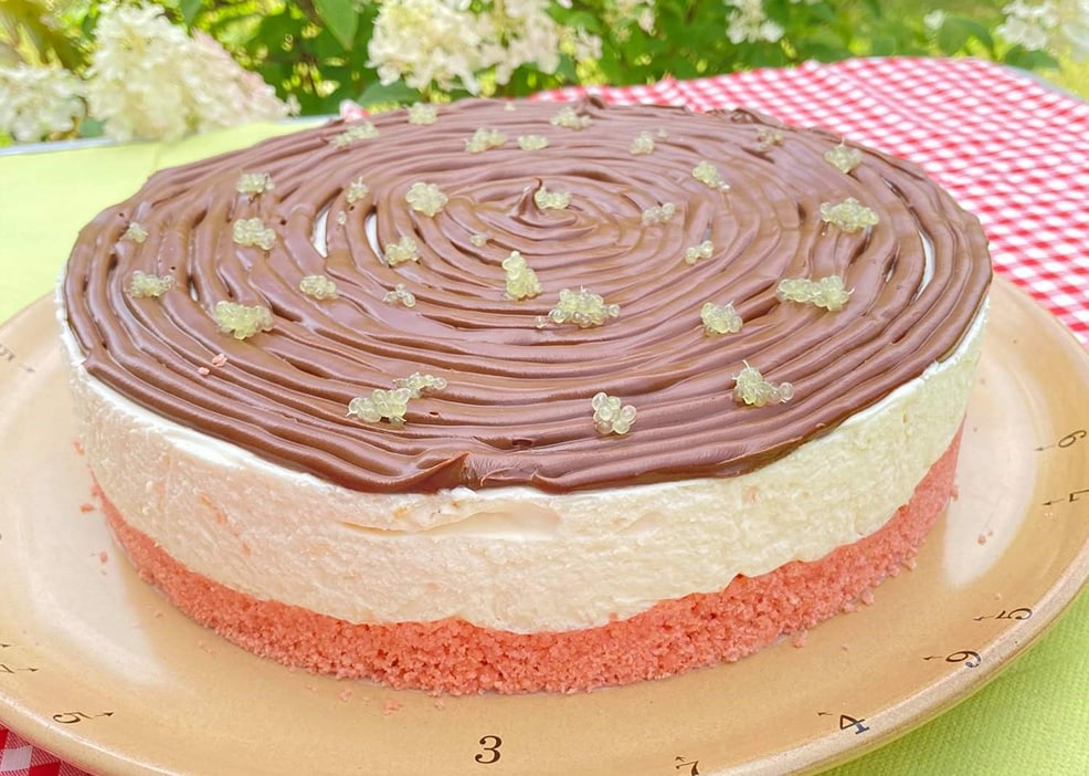 Cheesecake aux biscuits roses de Reims, pomelo rose et Nutella<sup>®</sup> par Firmin
