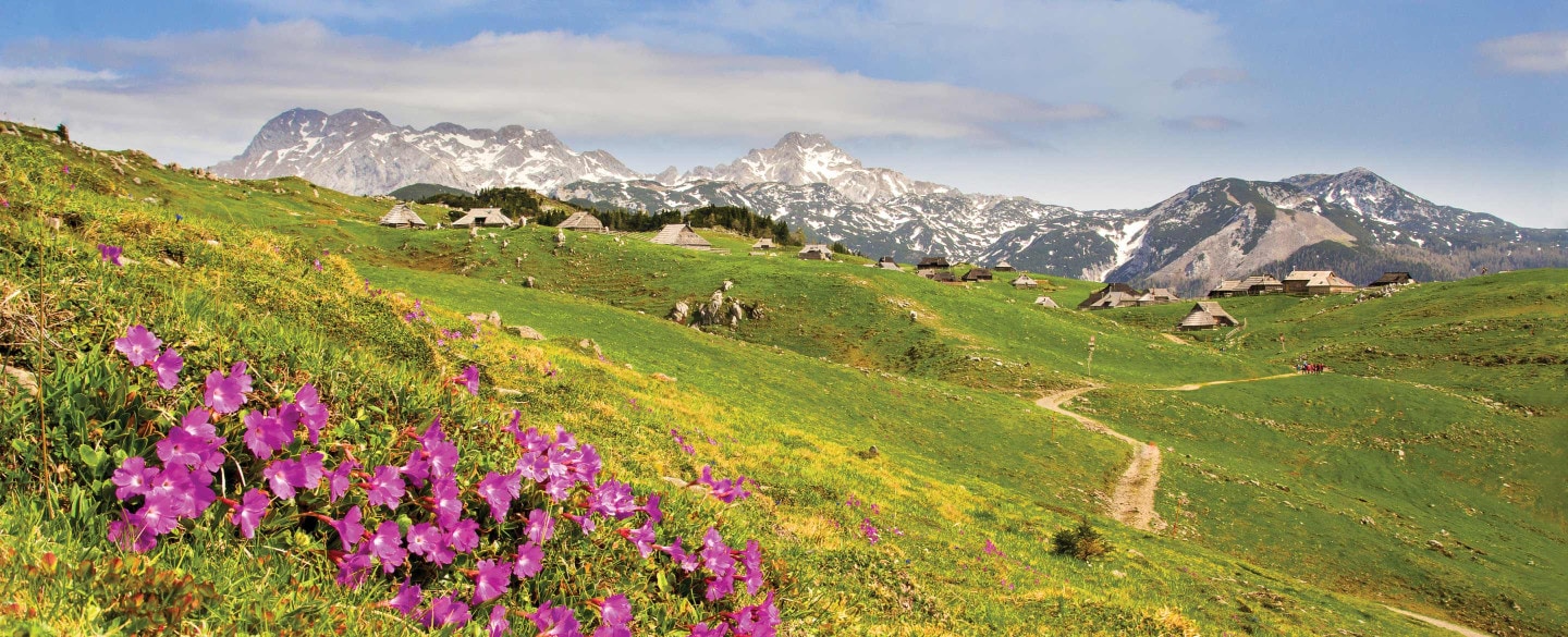 Velika Planina.png?t=1717668950