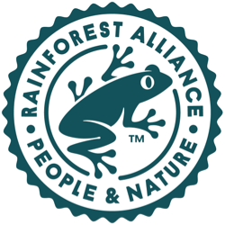 Rain forest logo