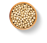 Lecithin