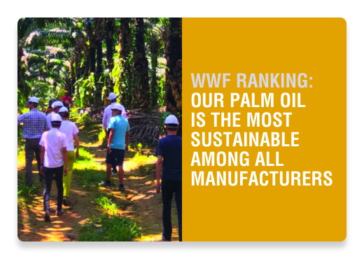 Palm Oil Scorecard | Nutella